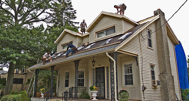 Best Shingle Roofing Installation  in Robinhood, MS