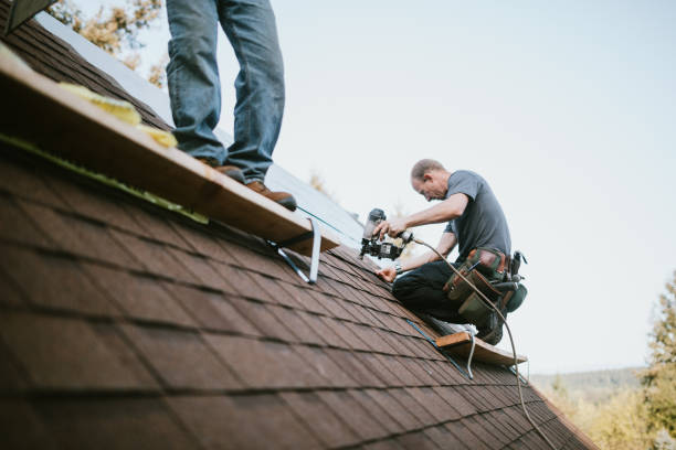 Best Roof Leak Repair  in Robinhood, MS